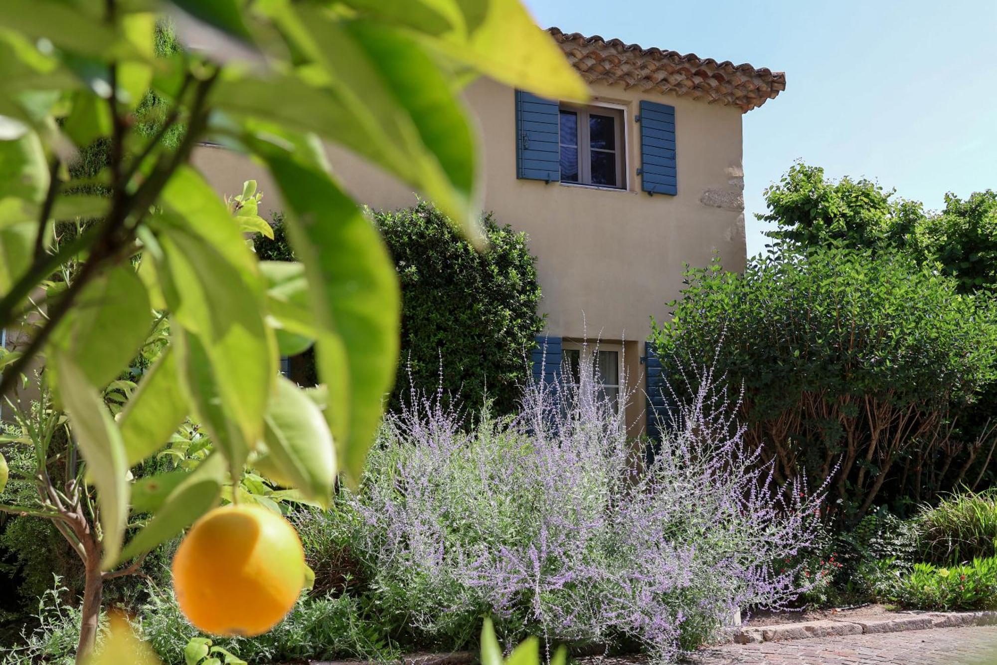 Domaine Du Moulin De Villefranche Pernes-les-Fontaines Exterior foto